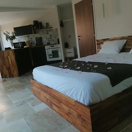 Apartment Logis Neuf Equipe/piscine/spa/sauna/gym