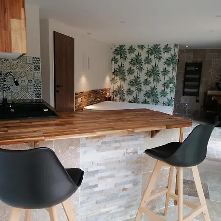 Logis Neuf Equipe/piscine/spa/sauna/gym Apartment *