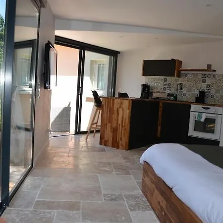 Apartment Logis Neuf Equipe/piscine/spa/sauna/gym *