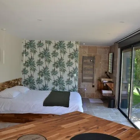 Logis Neuf Equipe/piscine/spa/sauna/gym * Heyrieux
